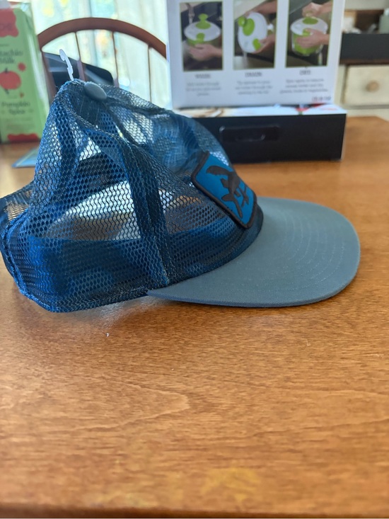 Patagonia Other - Patagonia Mesh Trucker Hat - Blue